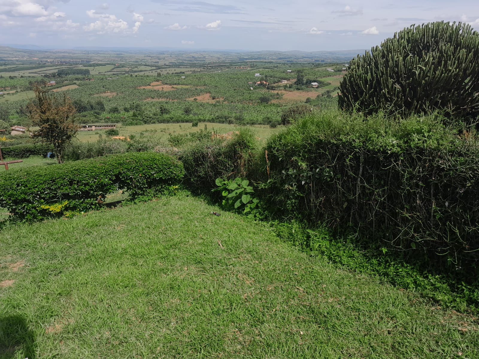 Image showing a land